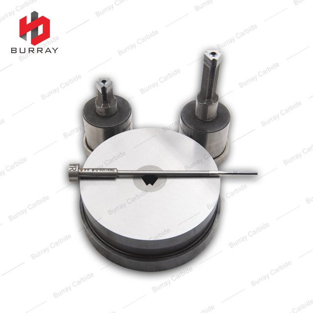 TNGA1604-D-M Tungsten Carbide Punch Die for Carbide Inserts