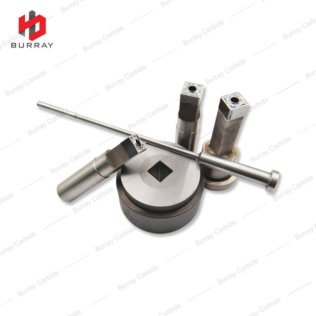 SNMG120408-SM Powder Metallurgy Mold for Pressing Carbide Inserts