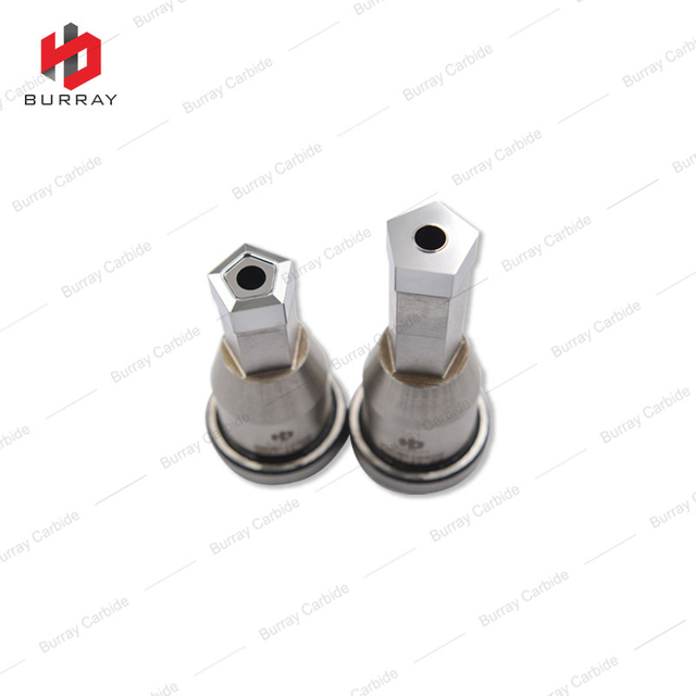 PNUM110408 Mold for Pentagon Insert