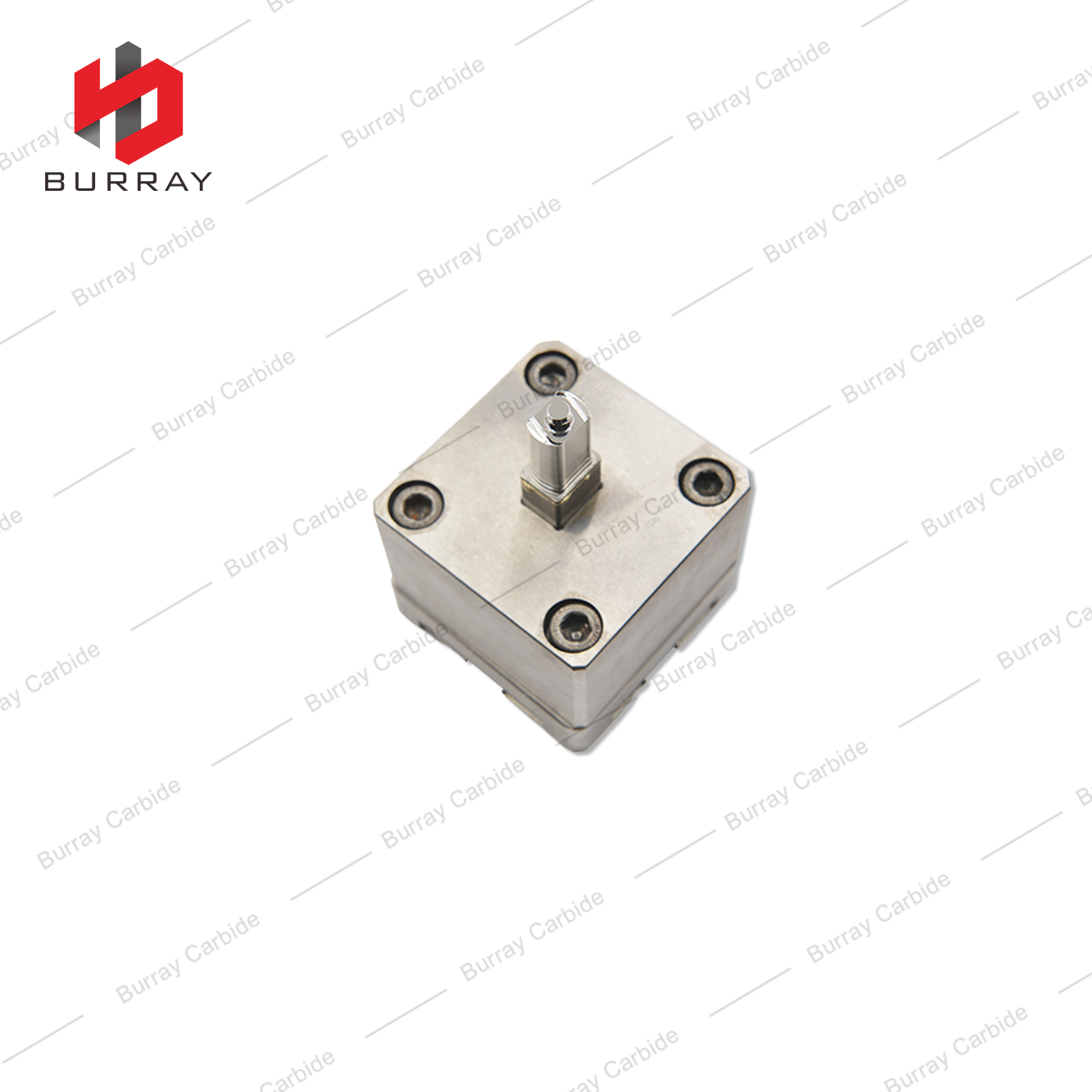 3R Carbide Dies BLMP0603R-M for Pressing Tungsten Carbide Milling Inserts BLMP0603R-M Precision Moulds