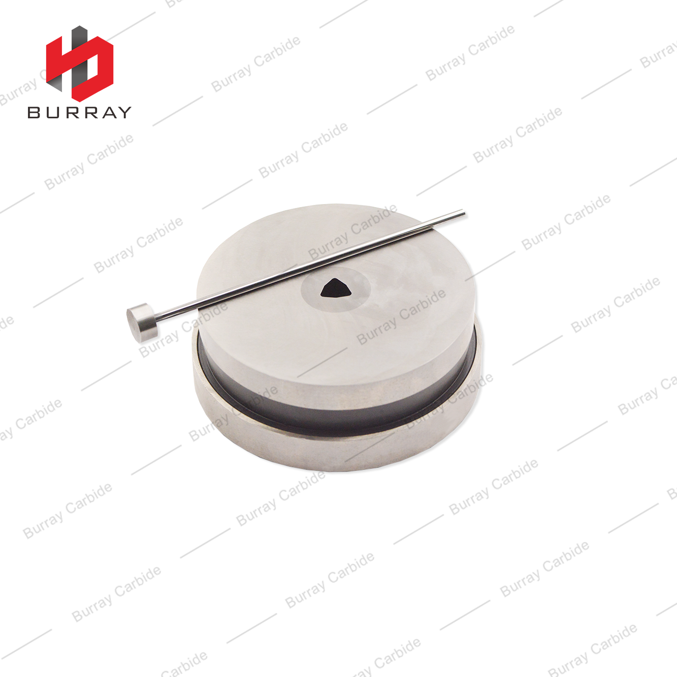 Carbide Dies for Pressing Turning Inserts WCMX050308 R-51 Powder Metallurgy Moulds