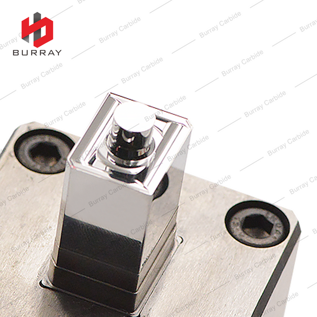 15 Years Factory Customized Processing of Powder Metallurgy 3R Molds ZPMT1504PPSR-MM