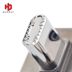Carbide 3R Dies for Pressing Heavy Duty Milling Inserts LNMX191940-53 Powder Metallurgy Moulds