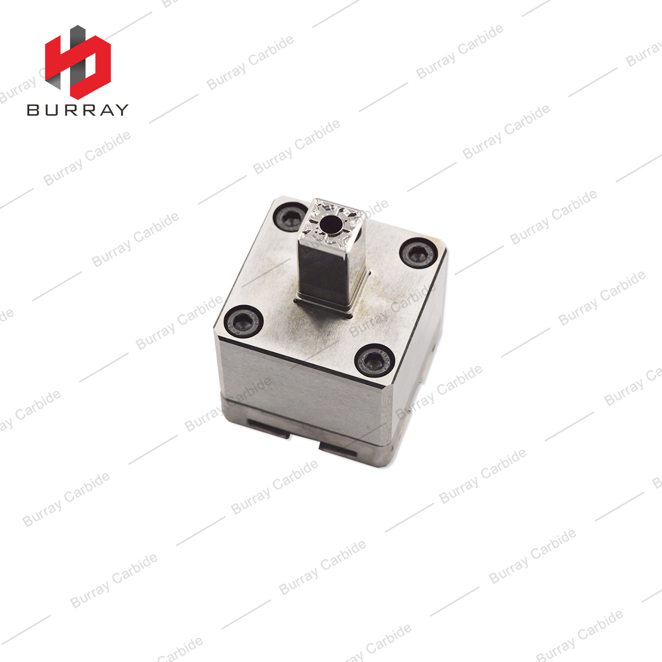Customized Mould Turning Insert SNMG120412-TM Pressing Mould Punches and Dies
