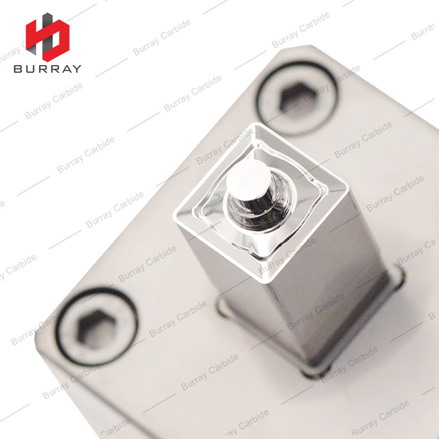 3R Dies SDMT120408-D57 Powder Metallurgy Mold Mirror-polished Stamping Mold