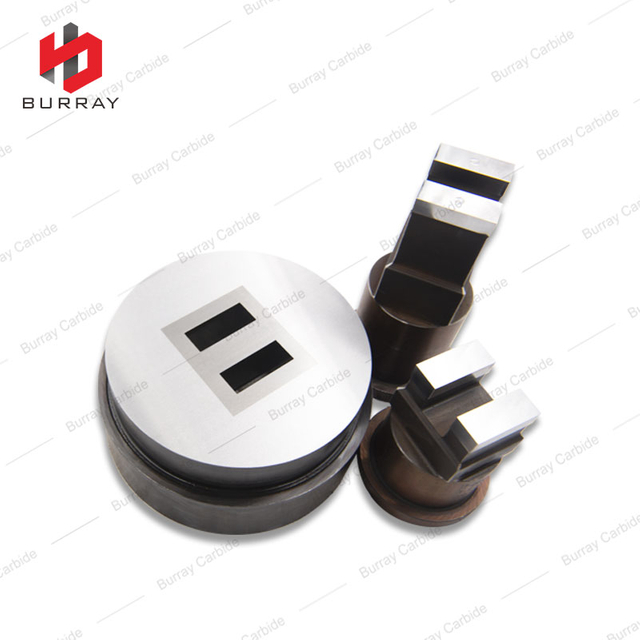 Carbide Mirror Polished Stamping Plate Mould