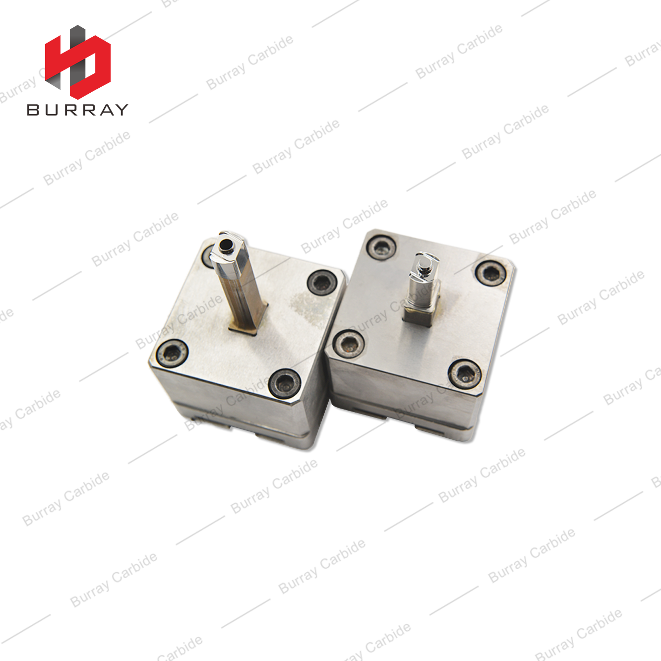 3R Carbide Dies BLMP0603R-M for Pressing Tungsten Carbide Milling Inserts BLMP0603R-M Precision Moulds