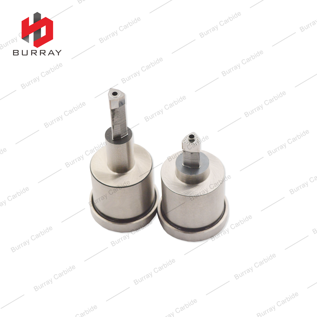 Carbide Dies for Pressing Turning Inserts WCMX050308 R-51 Powder Metallurgy Moulds