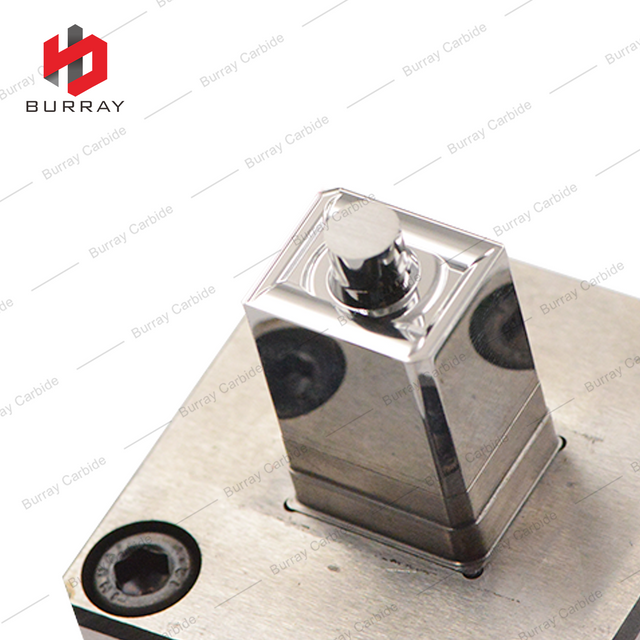 15 Years Factory Customized Processing of Powder Metallurgy 3R Molds ZPMT1504PPSR-MM