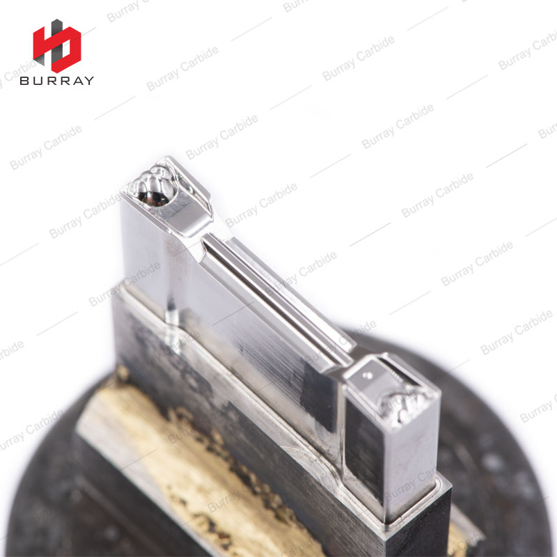 photobank - 2021-09-11T131854.410