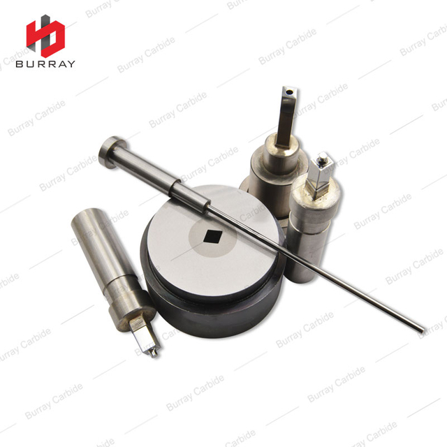 CCMT060204-MP Powder Metallurgy Mold for Pressing Carbide Inserts