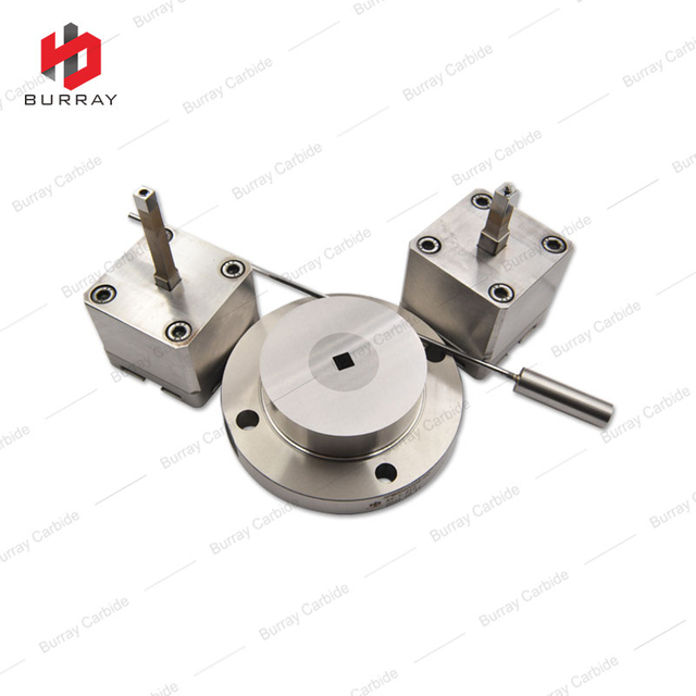 SPMG060204-DG Powder Metallurgy Stamping Dies/Mold