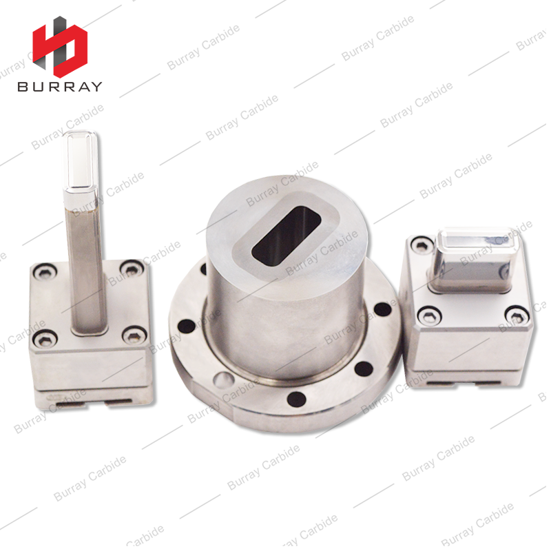 LNMX301940-23 Tungsten Carbide Insert for Powder Metallurgy 3R Compression Forming Molds