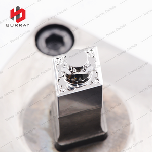 Powder Metallurgy 3R Dies CCMT09T304-SPL CNC Punching and Polishing Tool Carbide Mould and Dies