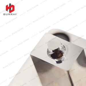 ZPCW2008 Tungsten Carbide Powder Metallurgy Customized Punching 3R Mould