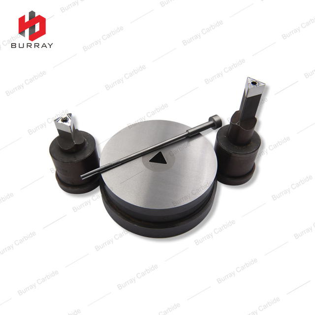 16IR150M Powder Metallurgy Carbide Punching Mould for Pressing Carbide Insert