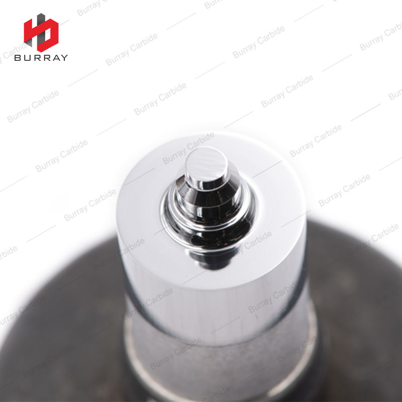 photobank - 2021-09-11T135451.309