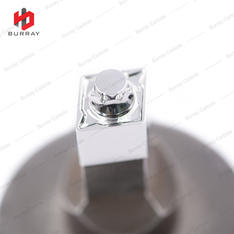 photobank - 2021-09-13T163417.851