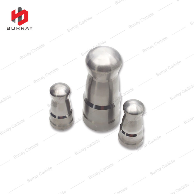 Carbide Forming Dies Core Punching Dies for Thremos Mug Liner