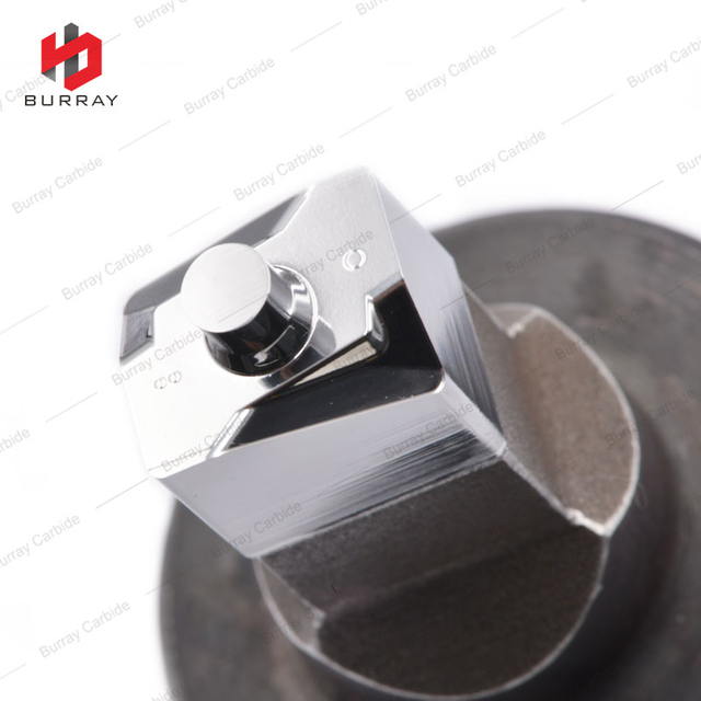 Insert Die for Special Model LNGX130708R-L55