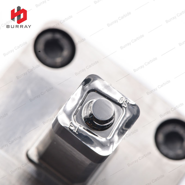 SOMT12T320PEER-FT High Precision Powder Metallurgy Punching Dies