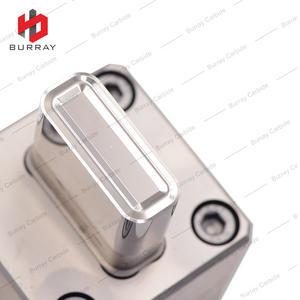 LNMX301940-23 Tungsten Carbide Insert for Powder Metallurgy 3R Compression Forming Molds