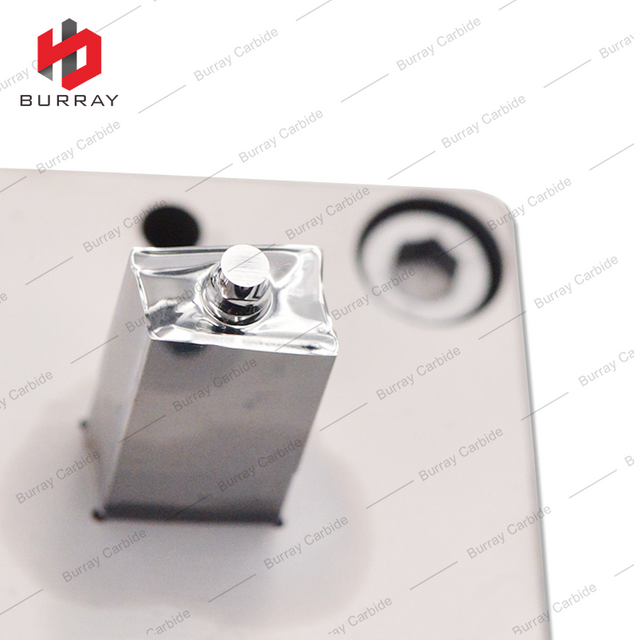3R Mould for R390-11T309M-PM Tungsten Carbide Insert Powder Metallurgy Compaction Die