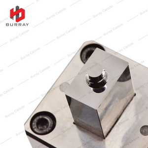 ZPCW2004 3R Dies Tungsten Carbide Powder Metallurgy Customized Punching Mould